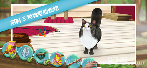 猫舍截图1
