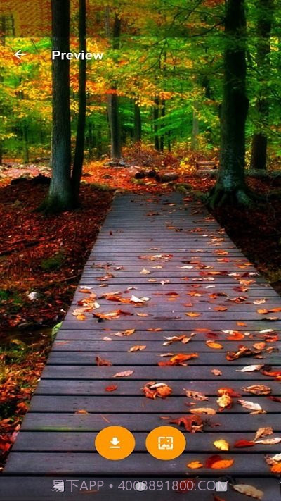 全球主题和壁纸截图4 全球主题和壁纸截图4