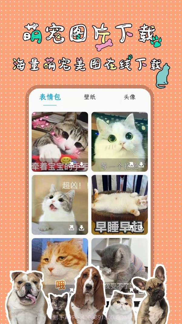 人猫人狗翻译交流器截图5 人猫人狗翻译交流器截图5