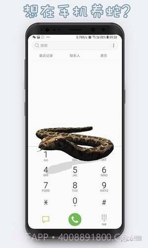 激萌猫咪桌面宠物截图4 激萌猫咪桌面宠物截图4