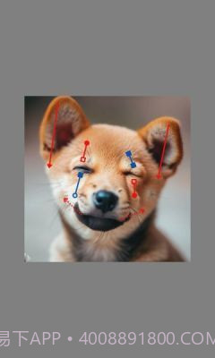 DragGAN AI截图2 DragGAN AI截图2