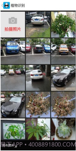 全能拍照识别(全能拍照识别使用方法)V1.4.5 安卓免费版截图3