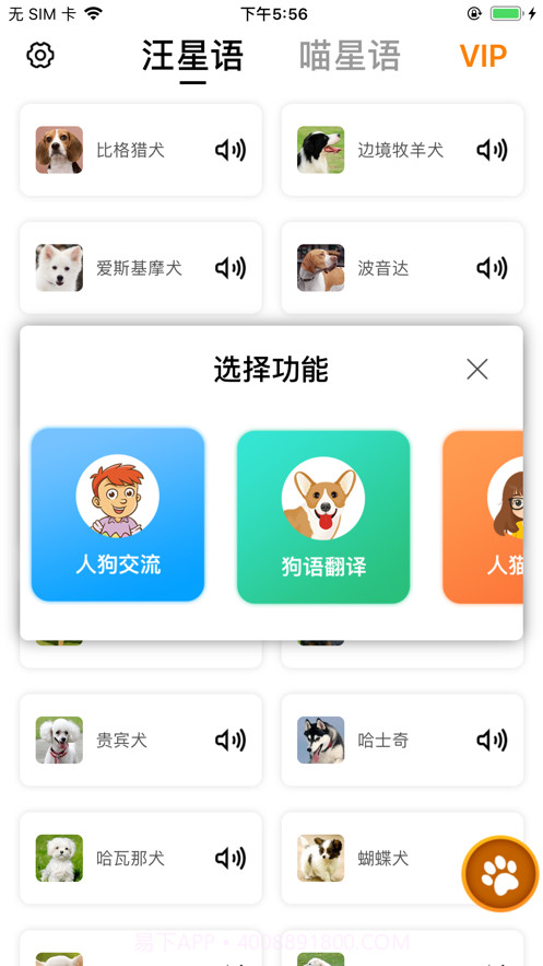 汪星人喵星人交流截图1 汪星人喵星人交流截图1
