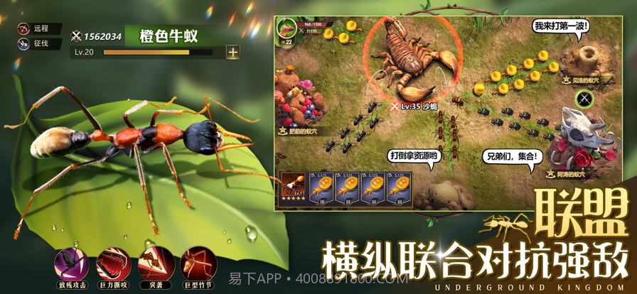 小小蚁国:真实蚂蚁世界截图5 小小蚁国:真实蚂蚁世界截图5