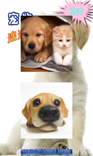 高清宠物连连看截图5