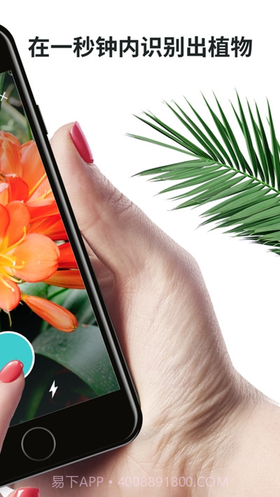 plantyx植物识别截图1 plantyx植物识别截图1