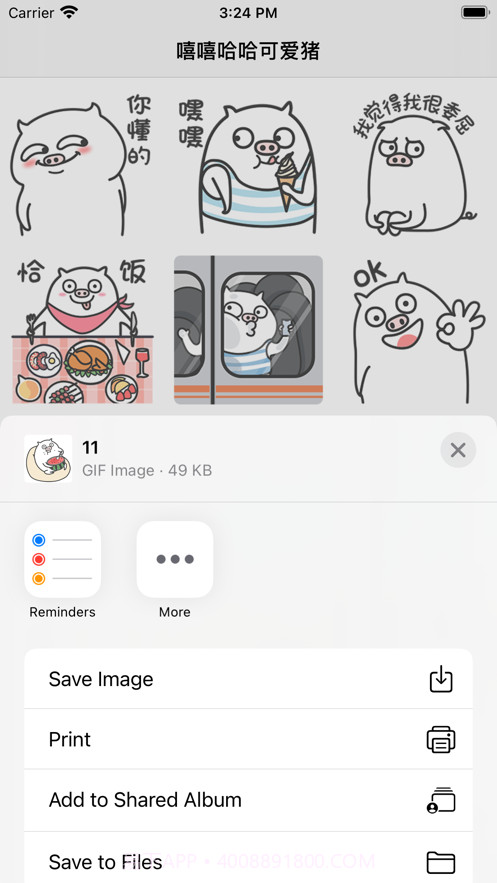 嘻嘻哈哈可爱猪截图2