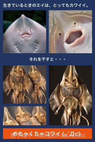 超体验晒鱼截图3 超体验晒鱼截图3