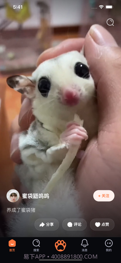 铲屎啦截图3 铲屎啦截图3