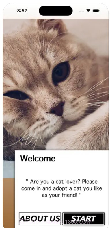 爱猫物语宠物店ios版截图1 爱猫物语宠物店ios版截图1