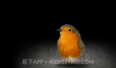 Mitoza截图2 Mitoza截图2