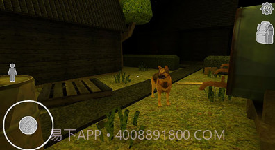 狗先生恐怖截图3 狗先生恐怖截图3