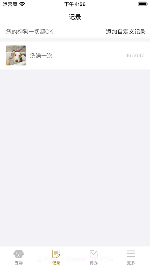 养狗小帮手截图3 养狗小帮手截图3