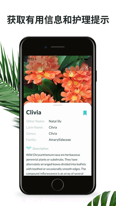 plantyx植物识别截图3 plantyx植物识别截图3
