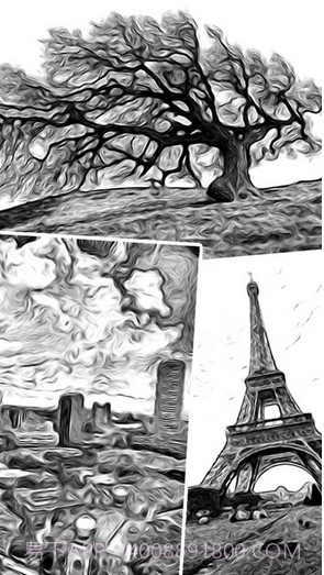 ToonCamera卡通相机截图2