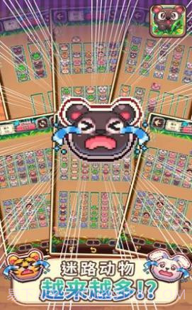 动物大风吹截图3