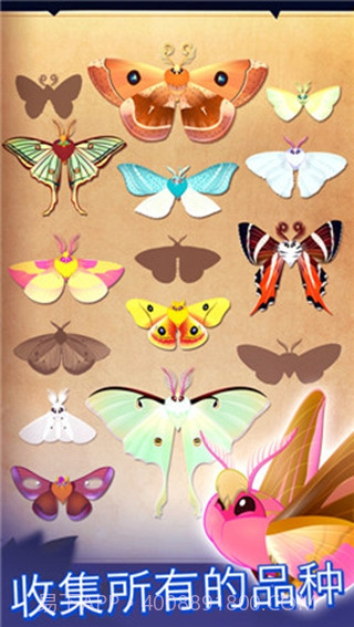 彩翼之星夜截图3