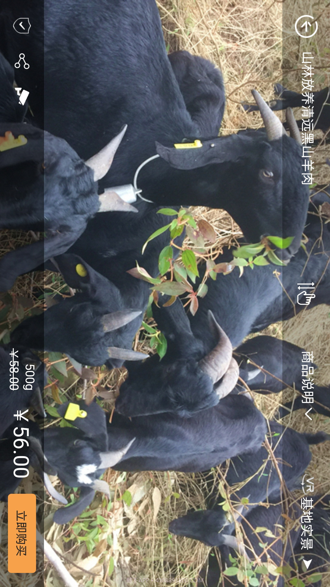 购真实截图3 购真实截图3