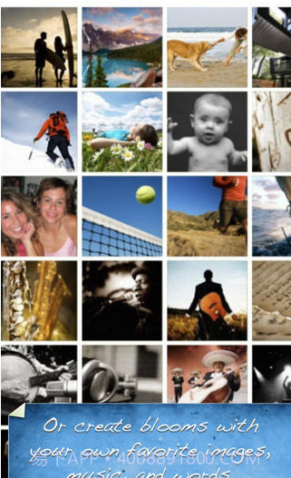 Bloom截图2 Bloom截图2