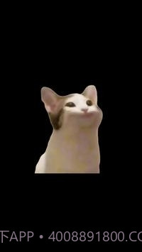 PopCat截图4 PopCat截图4