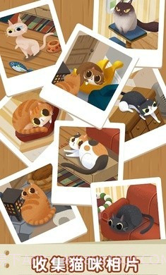 猫咪慵懒的日常截图1 猫咪慵懒的日常截图1
