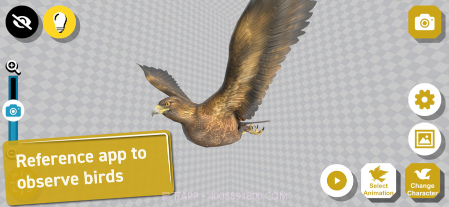 鸟类3D参考截图1 鸟类3D参考截图1