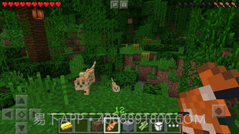 我的世界国际版（Minecraft）截图1