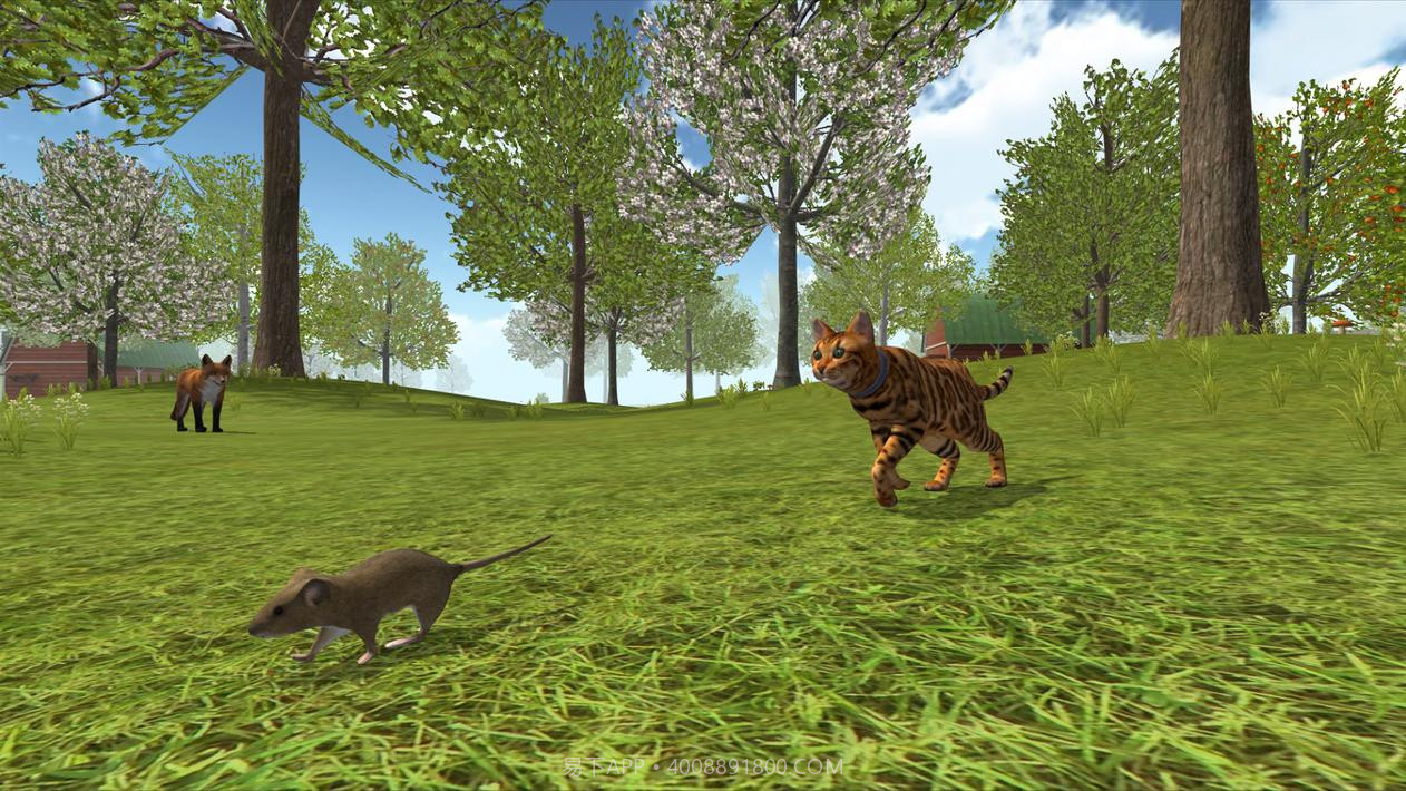 猫模拟器2020截图4