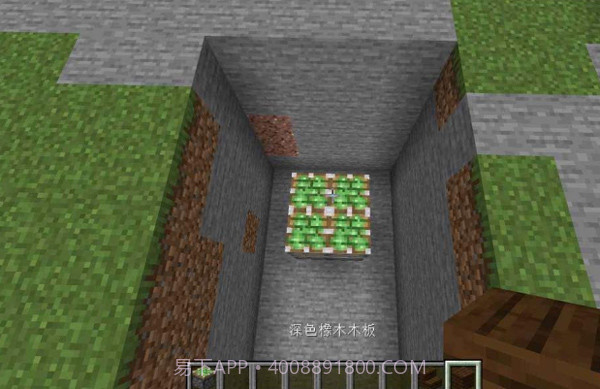 我的世界基岩XBOX版截图2