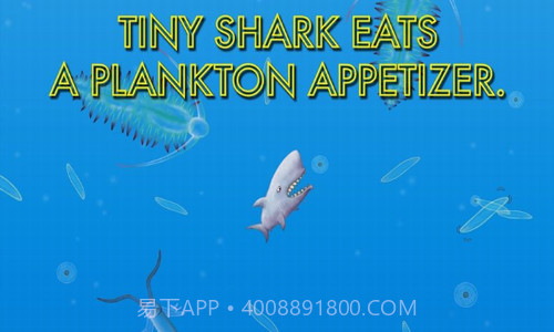 品尝深蓝截图1 品尝深蓝截图1