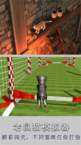 老鼠猫模拟器截图2 老鼠猫模拟器截图2