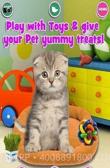 新生宠物兽医截图3 新生宠物兽医截图3