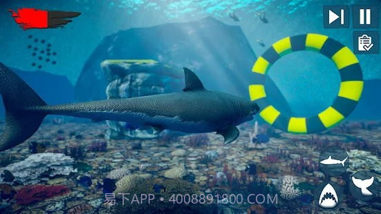 愤怒鲨鱼木筏生存截图2 愤怒鲨鱼木筏生存截图2