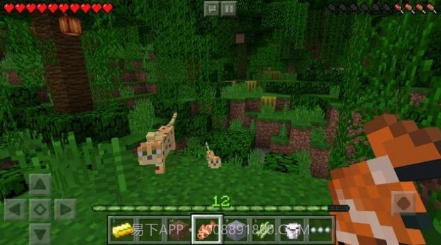 我的世界恐怖冰淇淋真人版截图3 我的世界恐怖冰淇淋真人版截图3