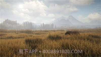 猎人:荒野的召唤正版截图1 猎人:荒野的召唤正版截图1