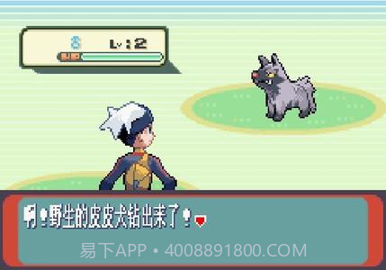 口袋妖怪 红宝石386(悟饭版)截图3 口袋妖怪 红宝石386(悟饭版)截图3