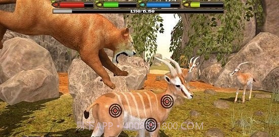 狮子模拟器2截图1