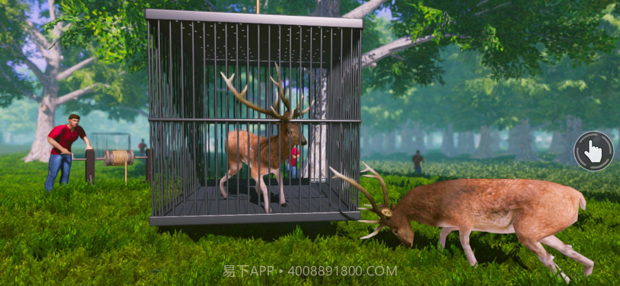 鹿模拟器：动物生活截图4