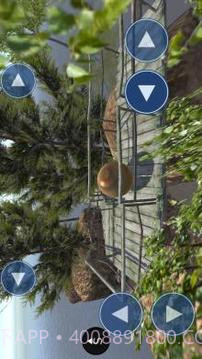 极限平衡器2截图3 极限平衡器2截图3