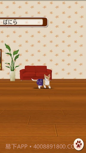 家有小狗截图3