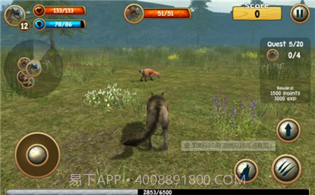 3D野狼模拟器截图1 3D野狼模拟器截图1