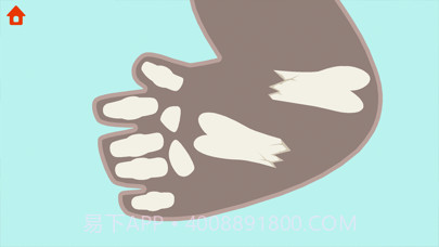 恐龙时光机截图5