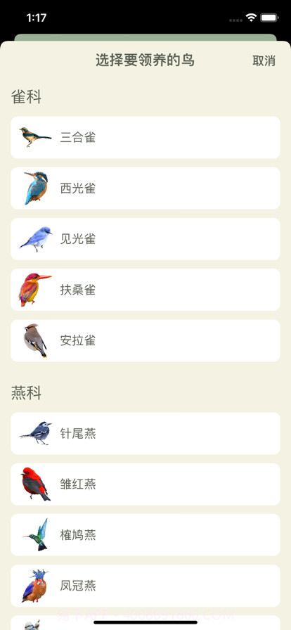 模拟养鸟截图4 模拟养鸟截图4