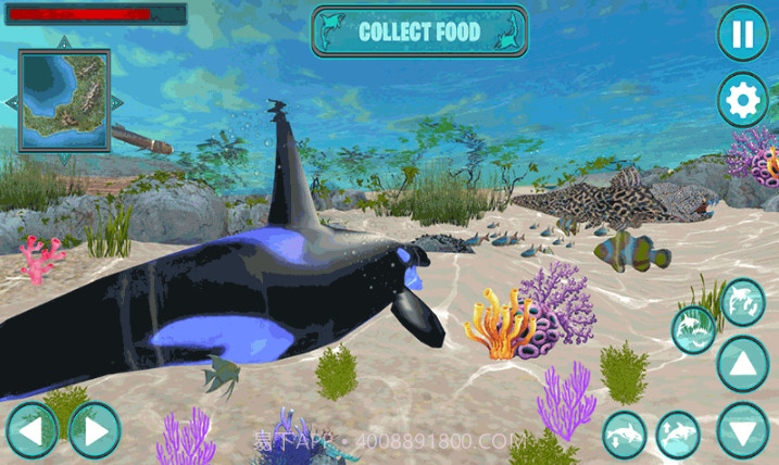 鲸鱼生存大作战截图3