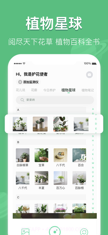 宜植惠截图4