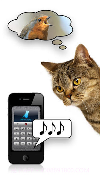 人猫交流器截图3