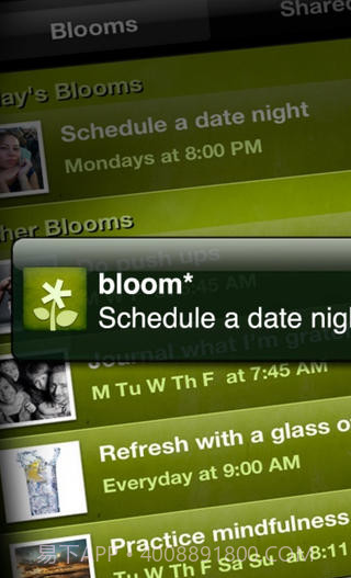 Bloom截图4 Bloom截图4