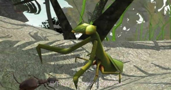 3d蚂蚁模拟器截图1 3d蚂蚁模拟器截图1