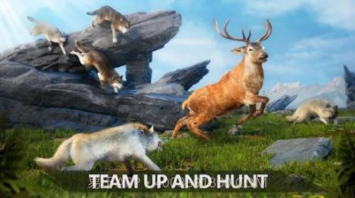 狼族崛起中文版截图3