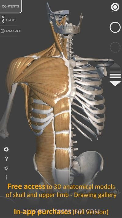 艺术家之3d解剖图截图1